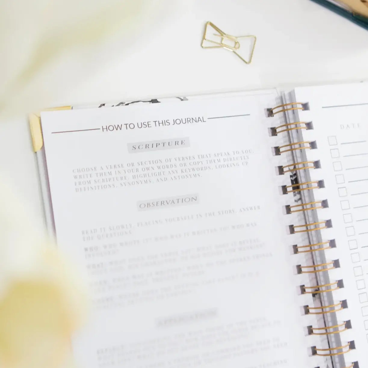 Streams of Mercy SOAP Study Journal