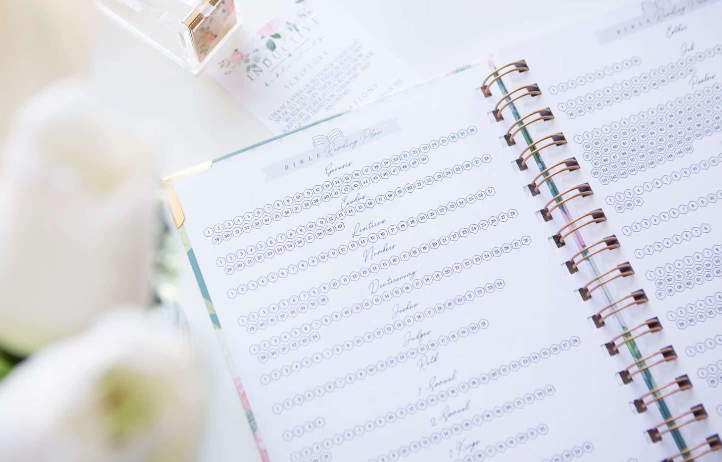 Verse by Verse Bible Study Journal