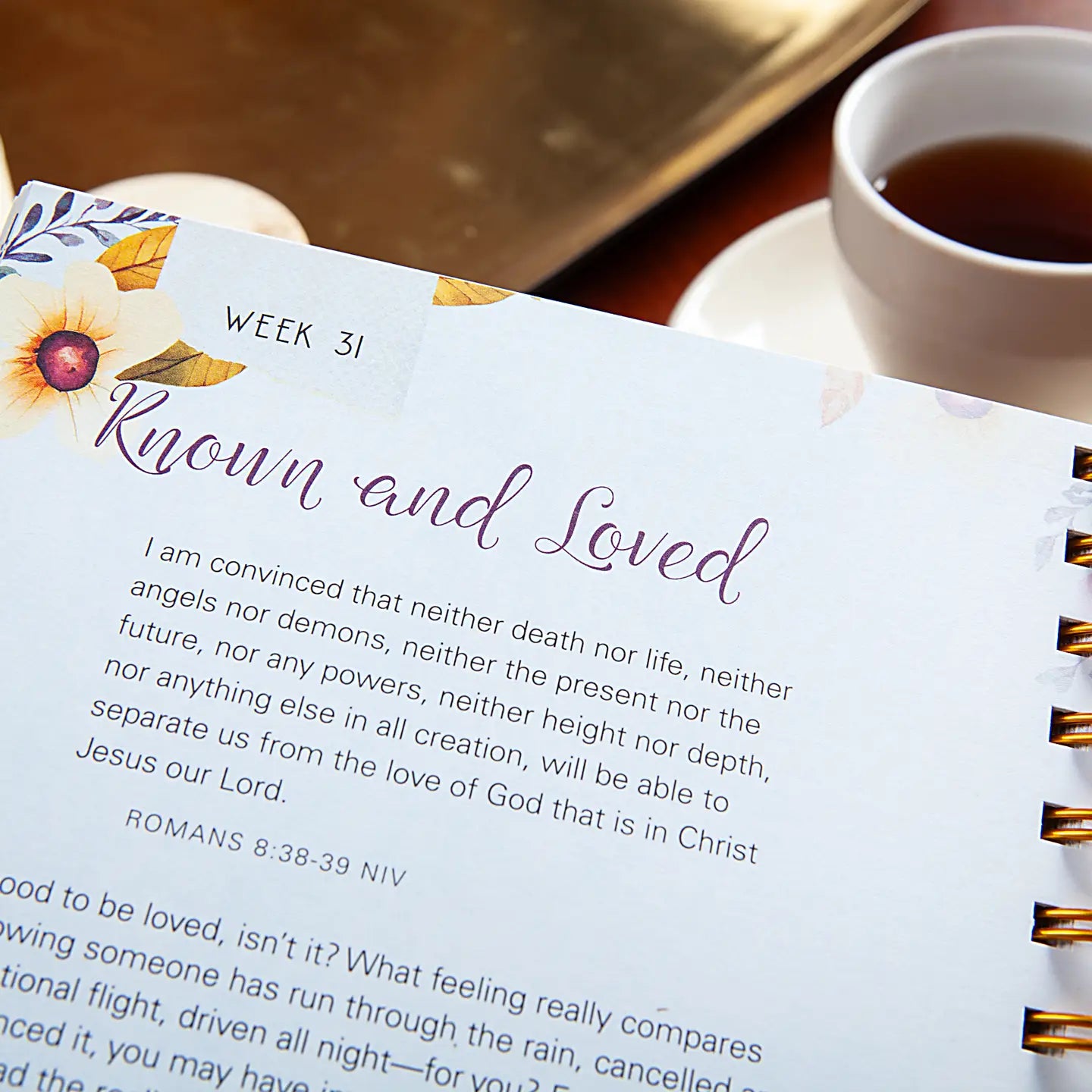 A Time for Everything Journal