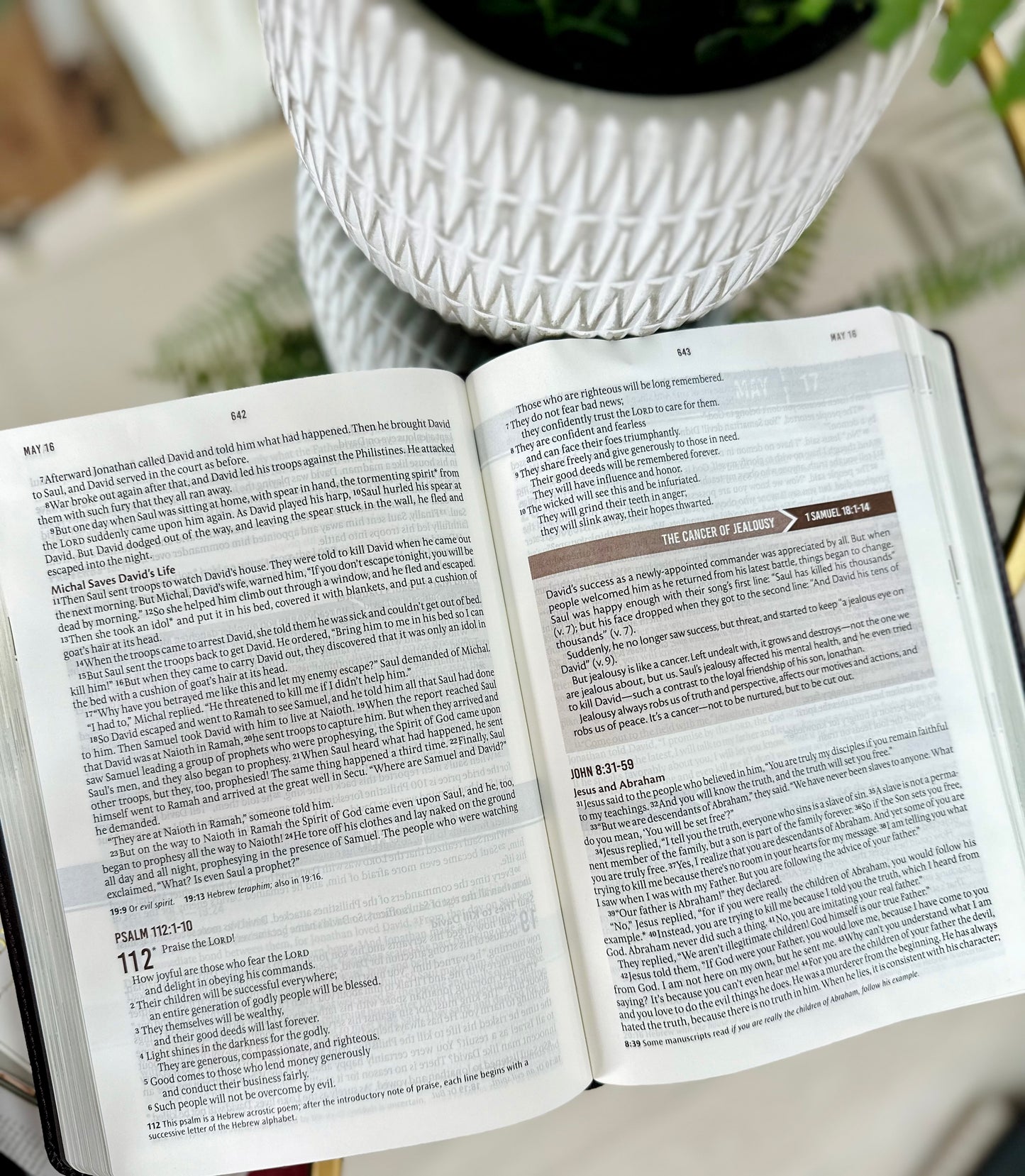 Devotional Bible for Men