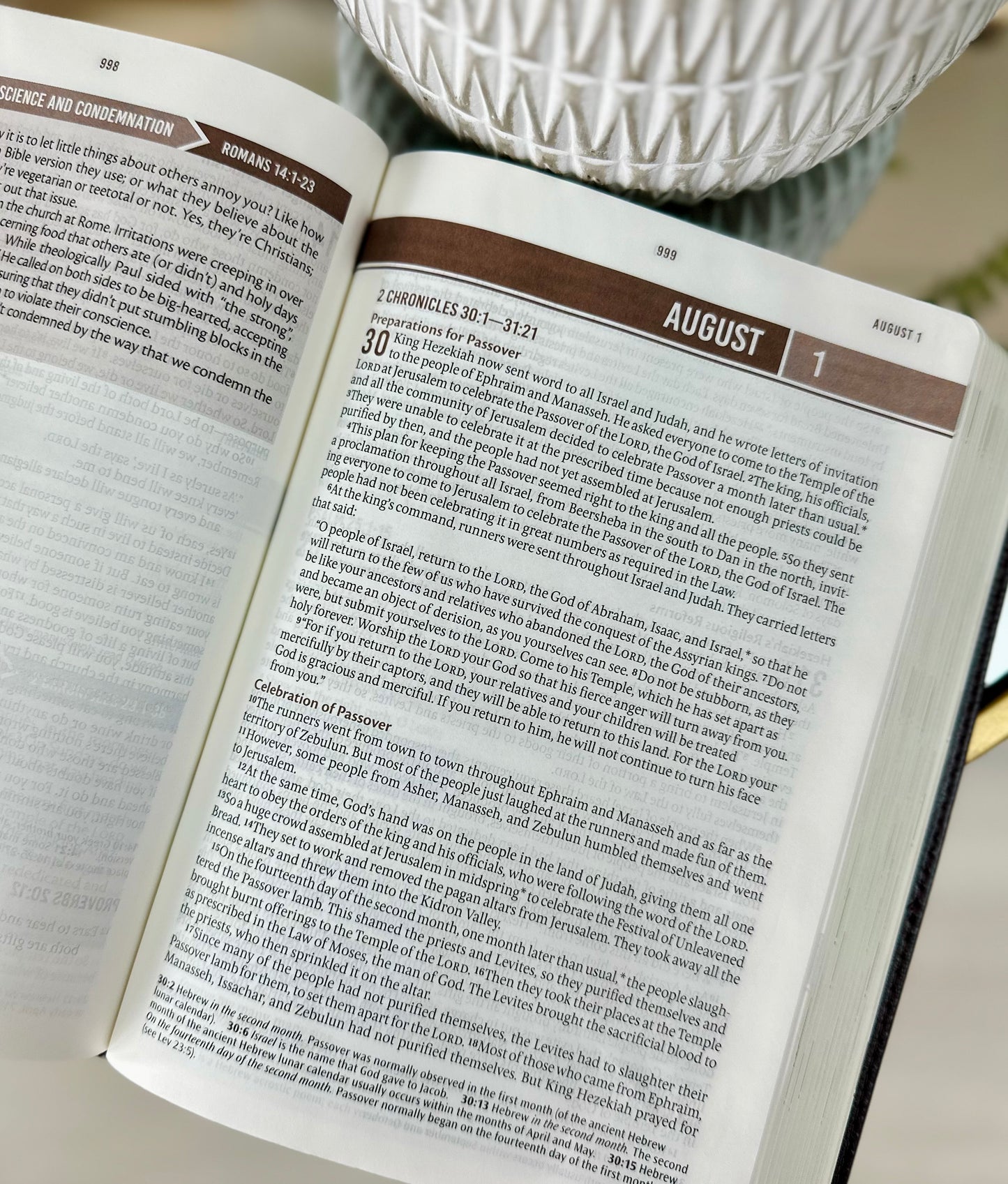 Devotional Bible for Men