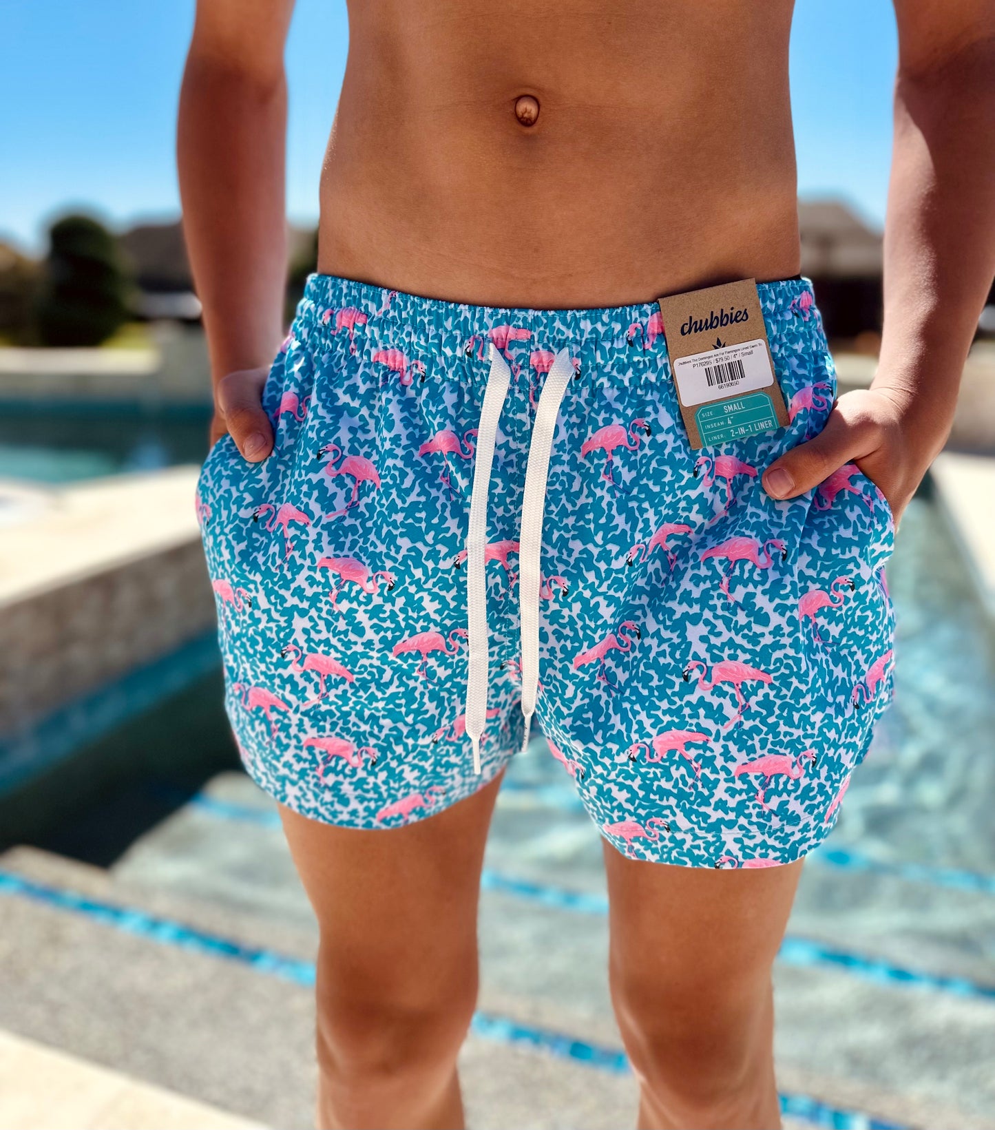 Chubbies The Domingos Are For Flamingos Lined Swim Trunk