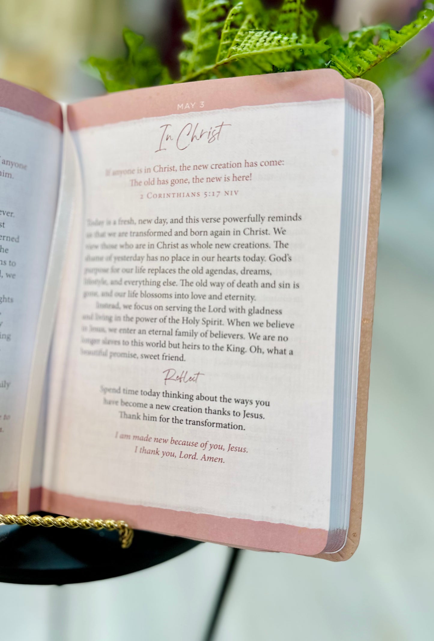 JoyFull 365 Daily Devotional for Women