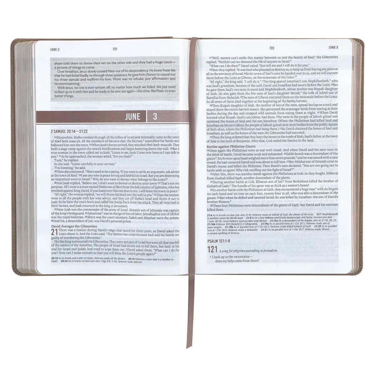 NLT Devotional Bible For Men- Tan