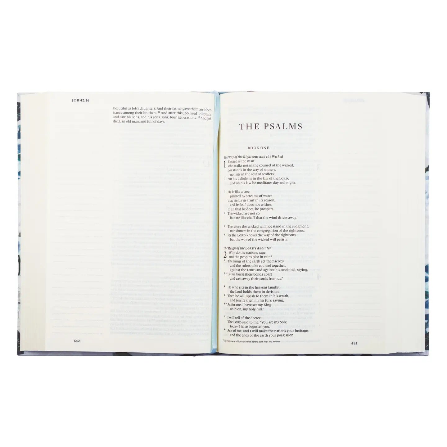 ESV Large Print Journaling Bible: Victoria Theme