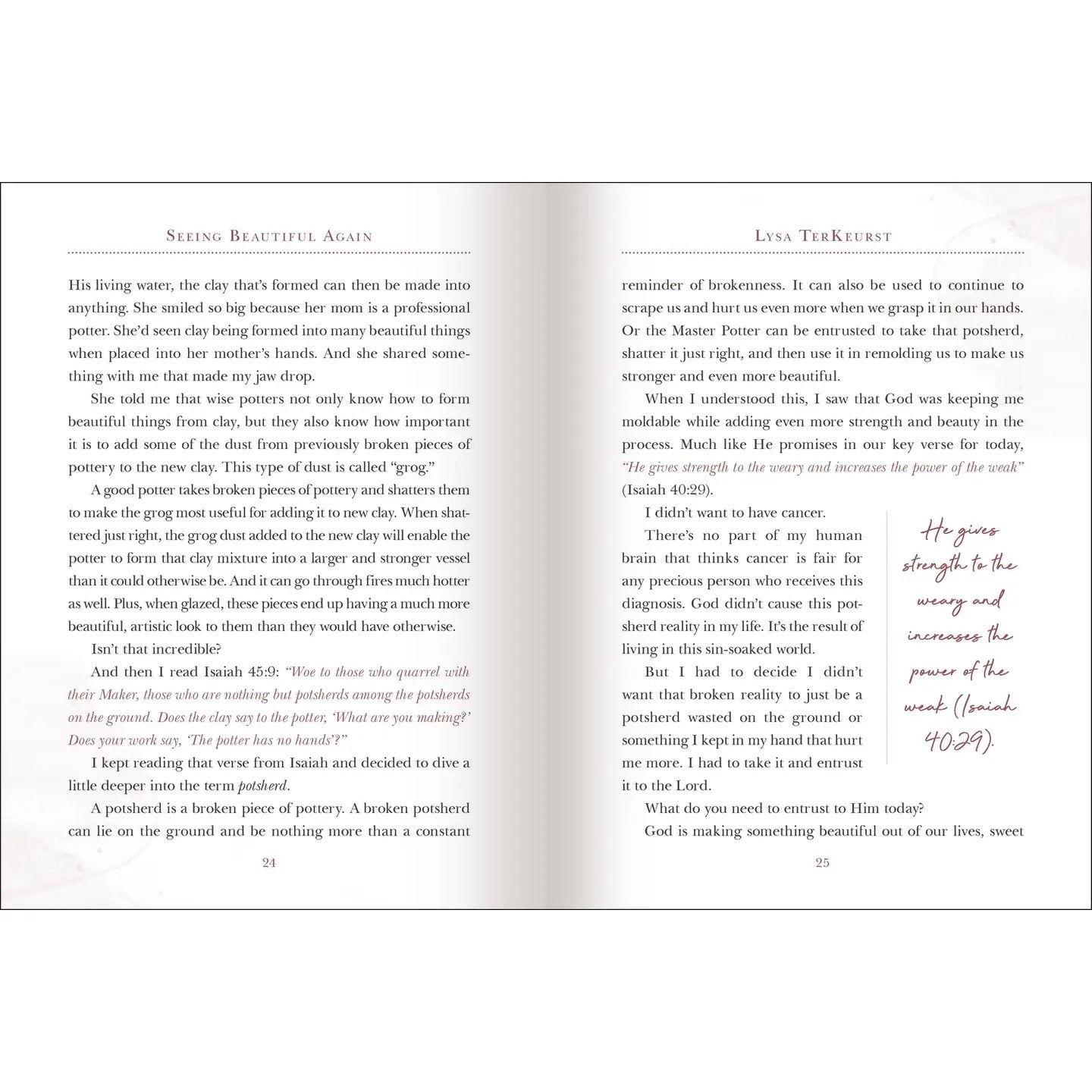 Seeing Beautiful Again Book