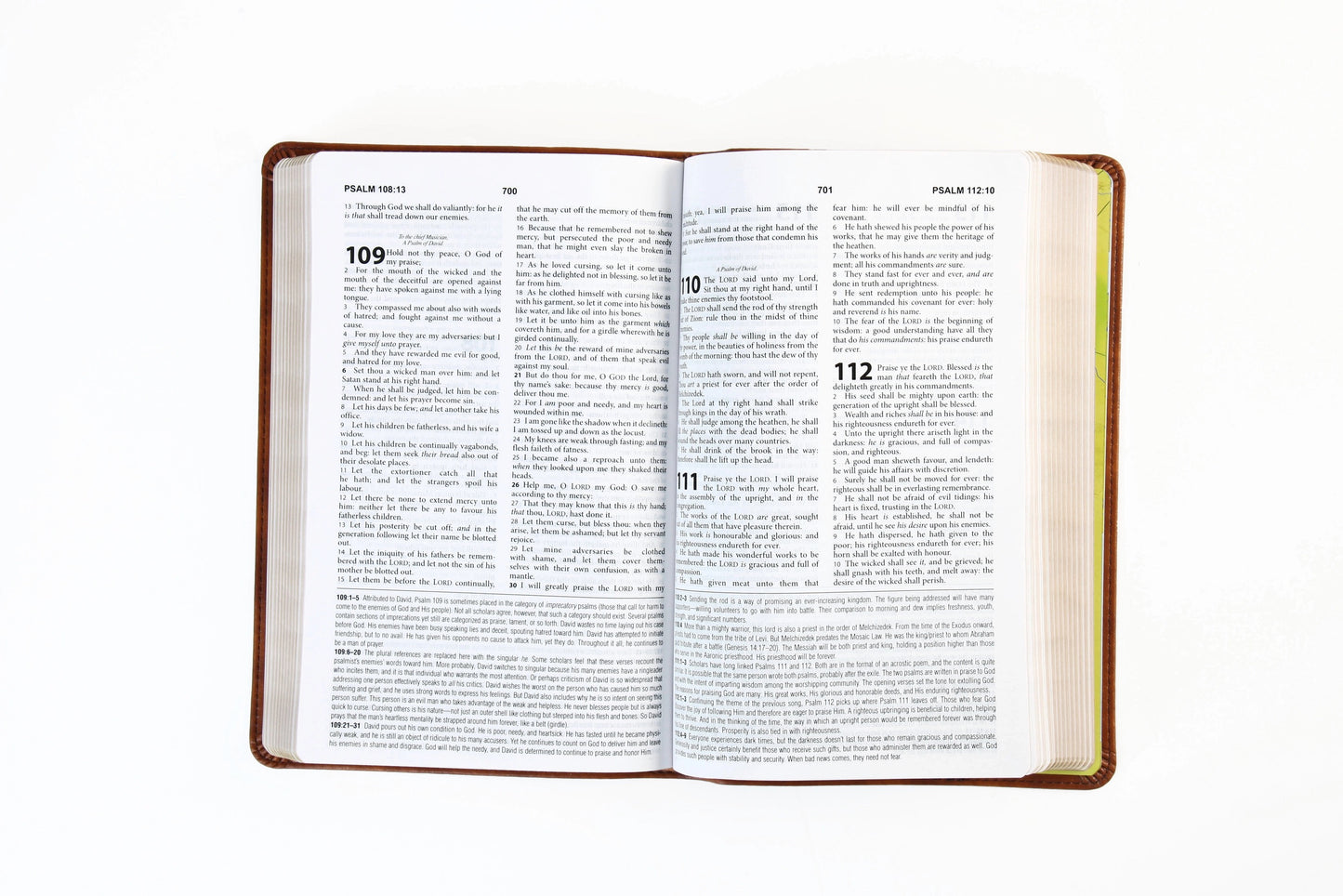 KJV Study Bible - Chesnut Brown Fish