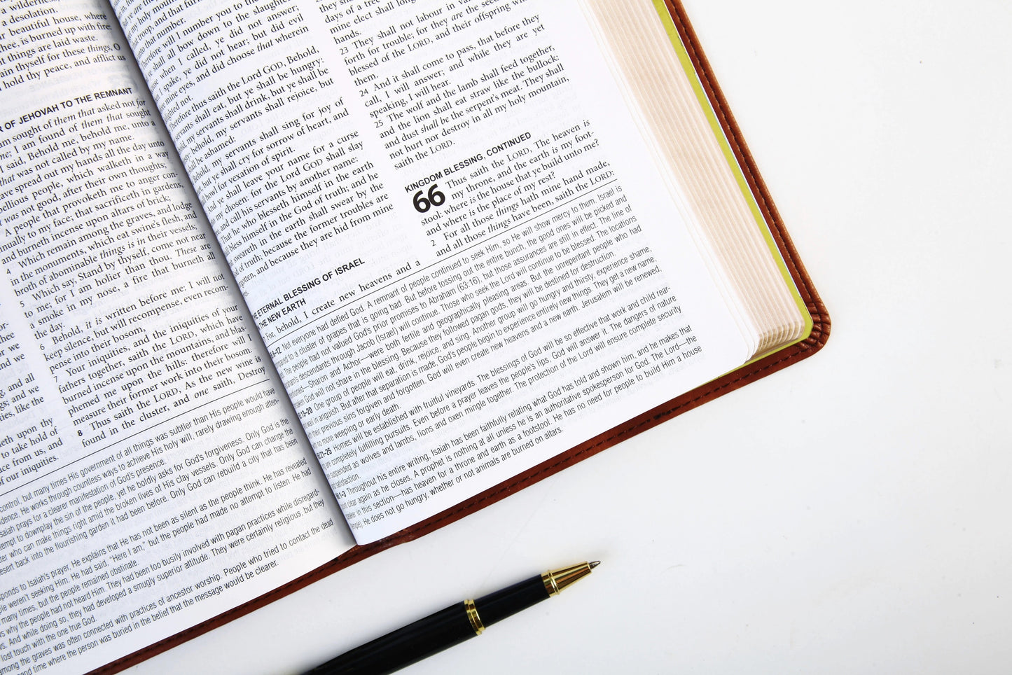 KJV Study Bible - Chesnut Brown Fish
