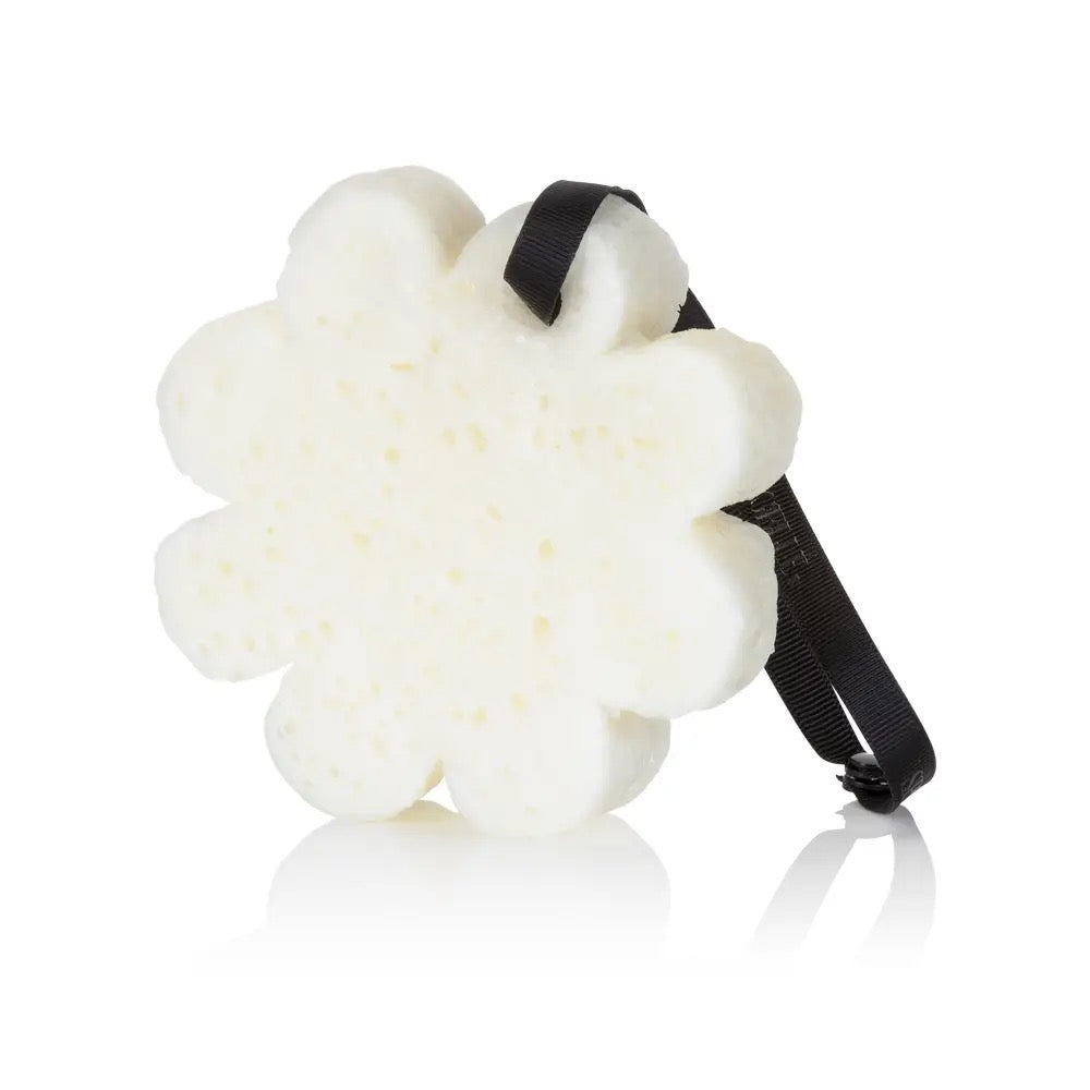Spongelle Edelweiss Elevation Boxed Flower
