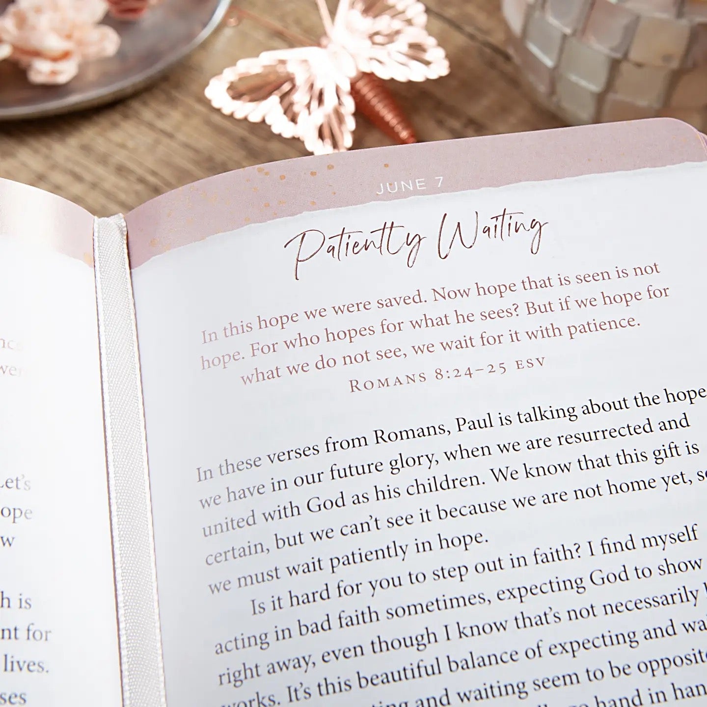 JoyFull 365 Daily Devotional for Women