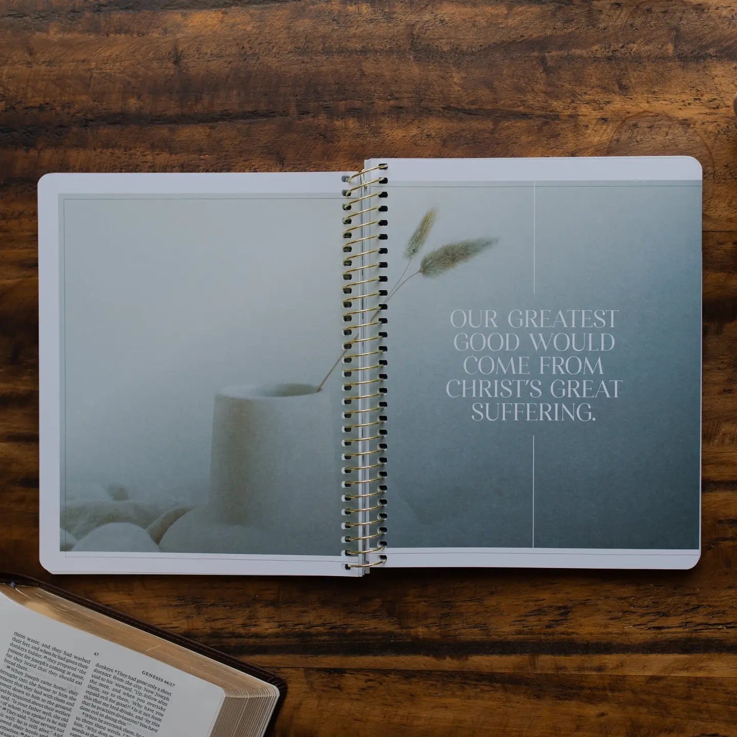 Eden to Eternity Chronological Bible Study - Spiral Bound
