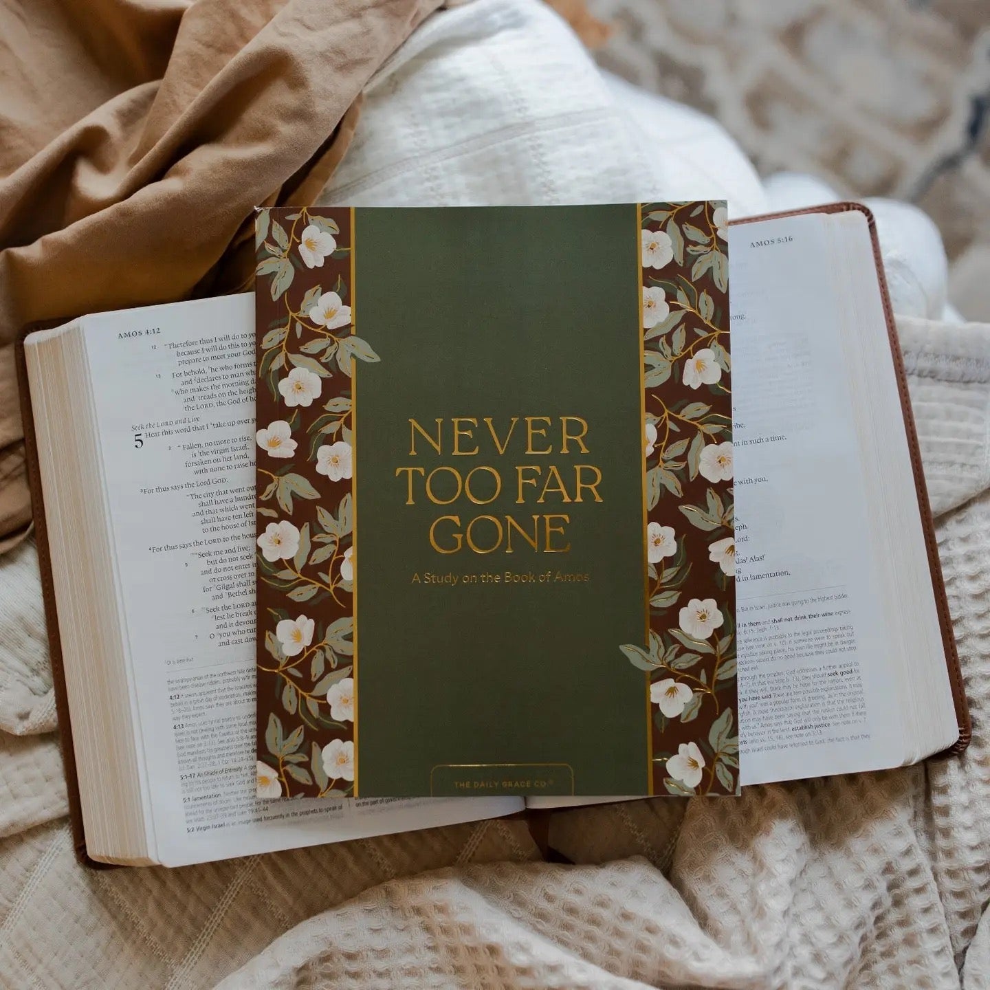 Never Too Far Gone: A Study on the Book of Amos