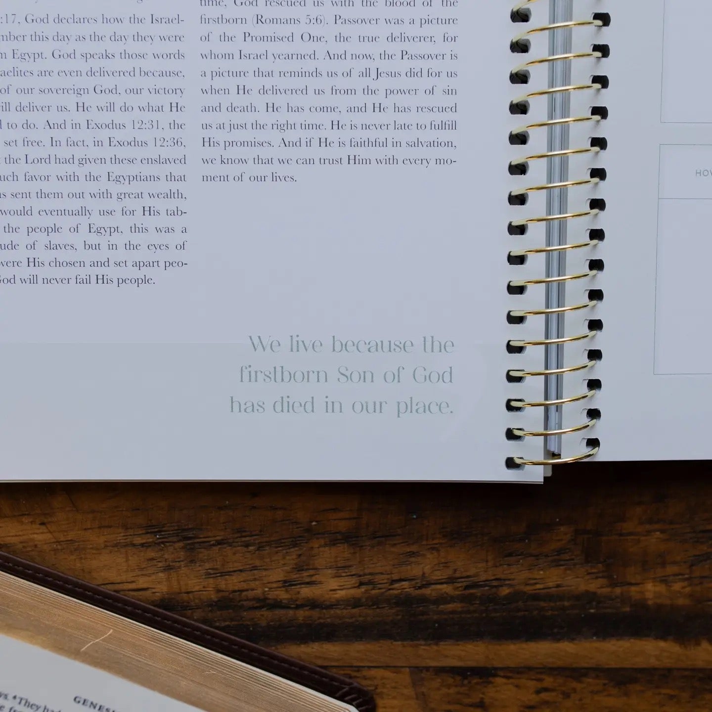 Eden to Eternity Chronological Bible Study - Spiral Bound