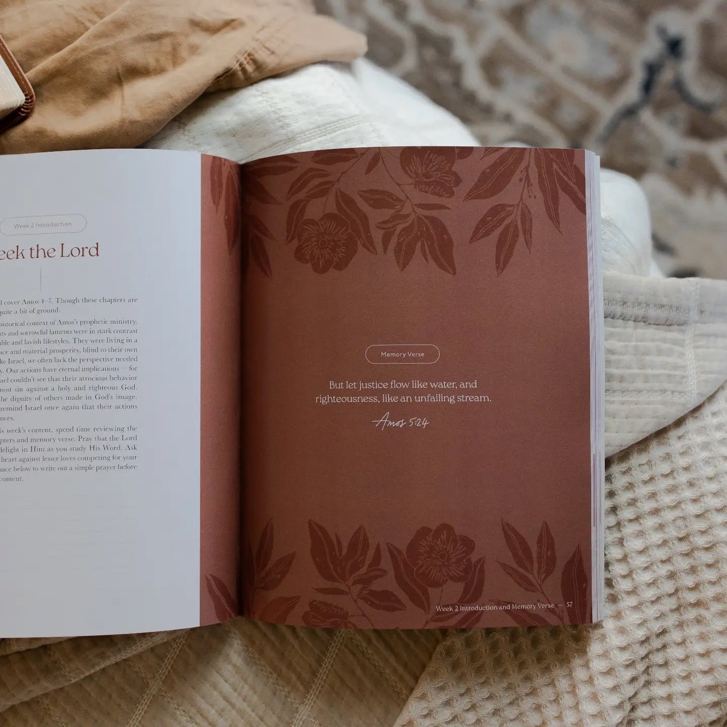 Never Too Far Gone: A Study on the Book of Amos