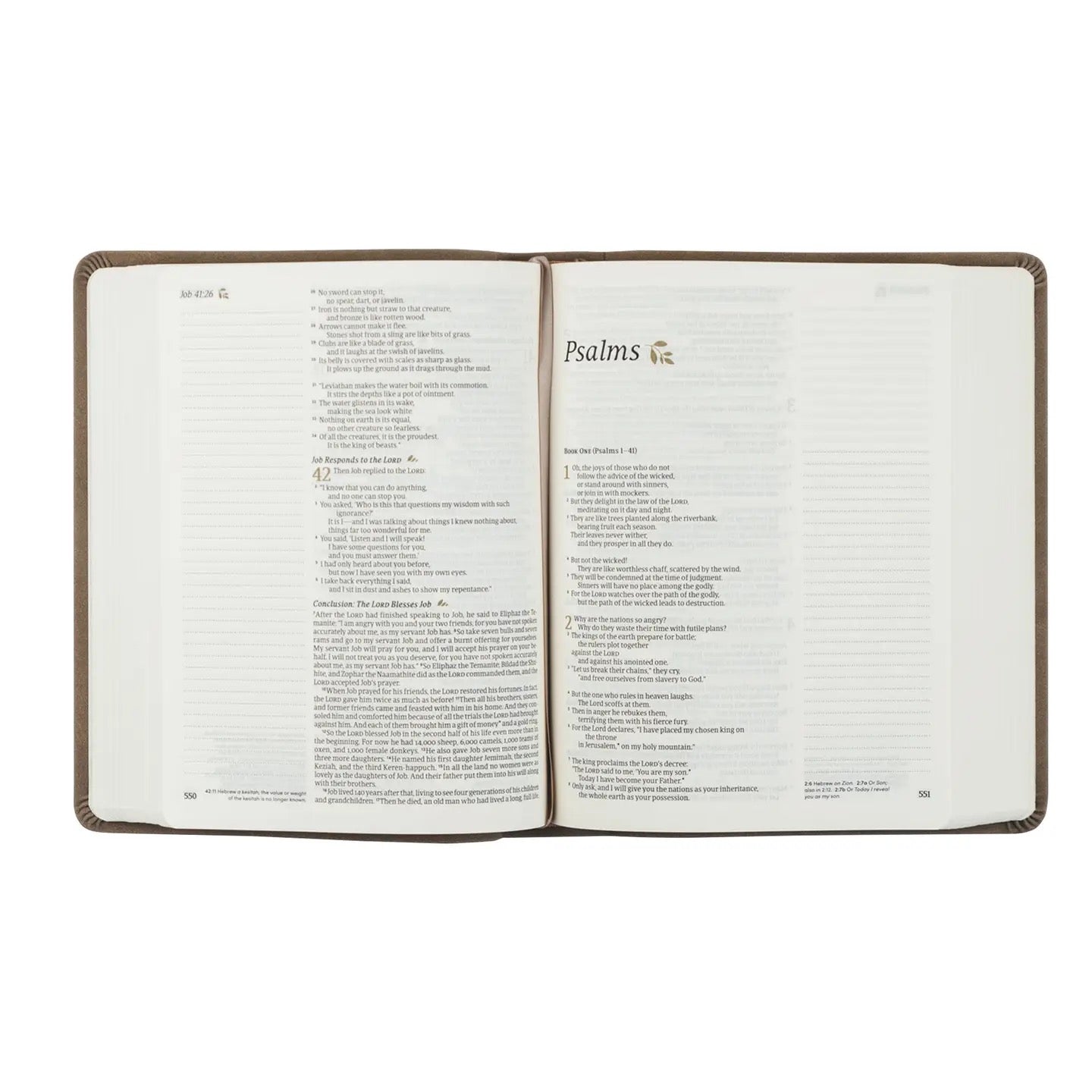 NLT Note taking Bible: Marlo Theme