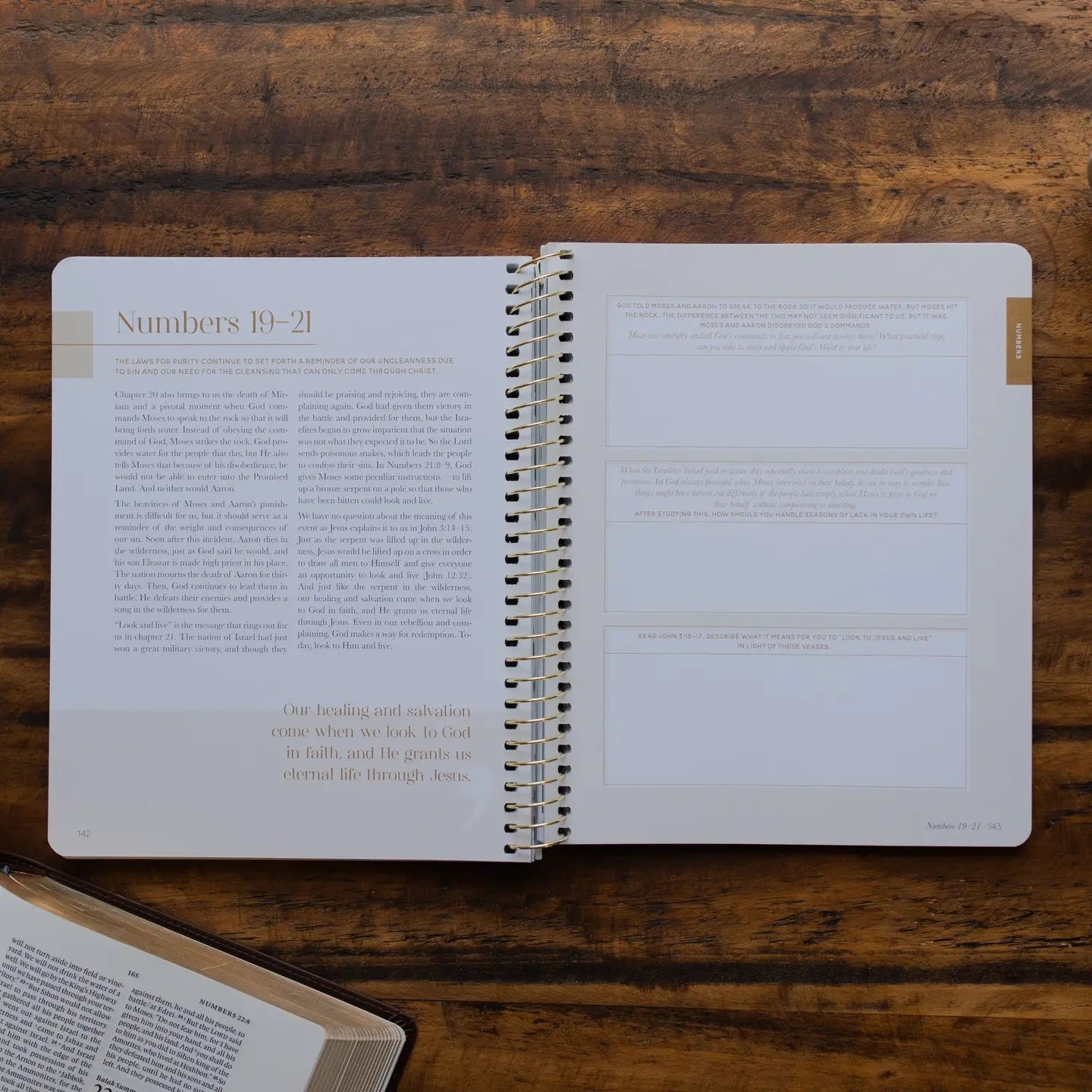 Eden to Eternity Chronological Bible Study - Spiral Bound