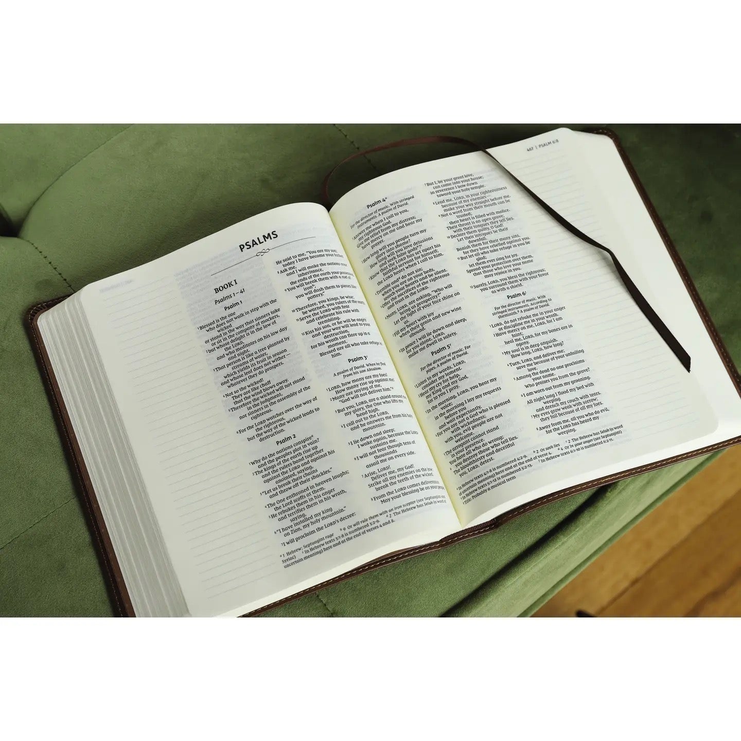 NIV Journal The Word Bible