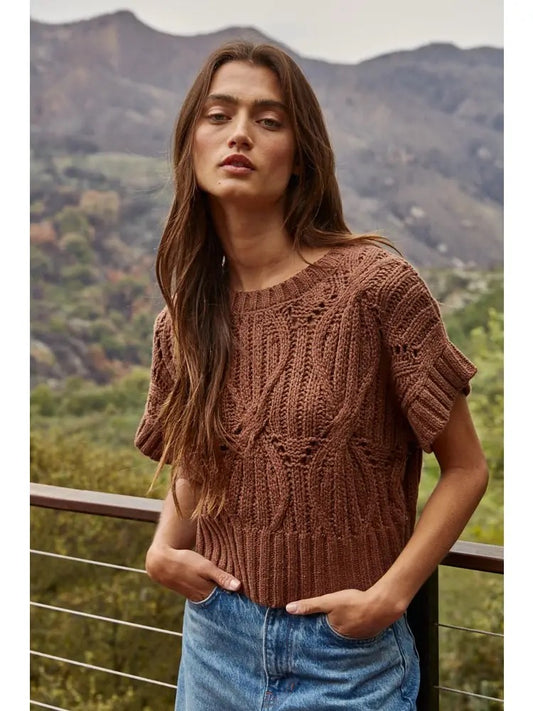 Brown Crochet Round Neck Knit Sweater Top