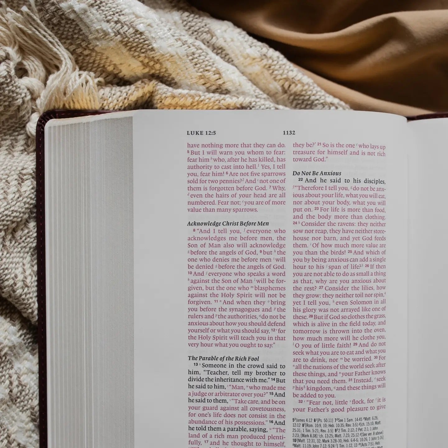 ESV Wide Margin Reference Bible - John 15:5