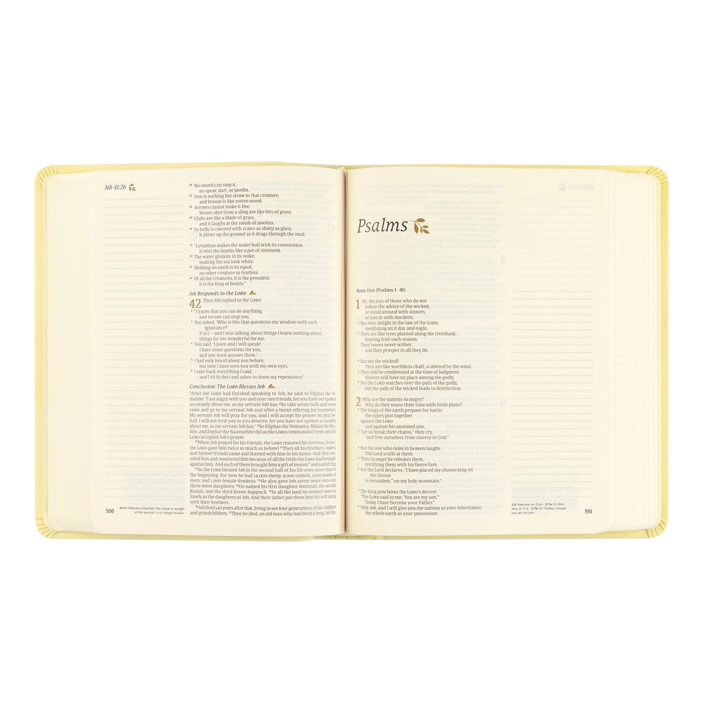 NLT Notetaking Bible - Belfast