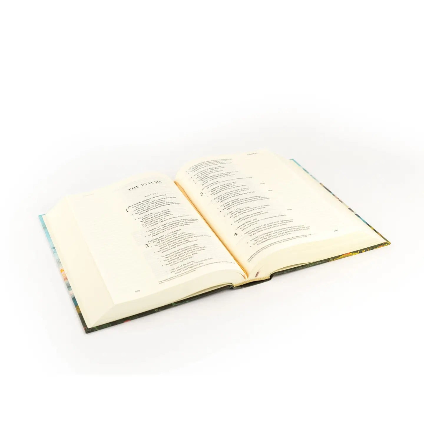 ESV Journaling Bible - Santa Lucia