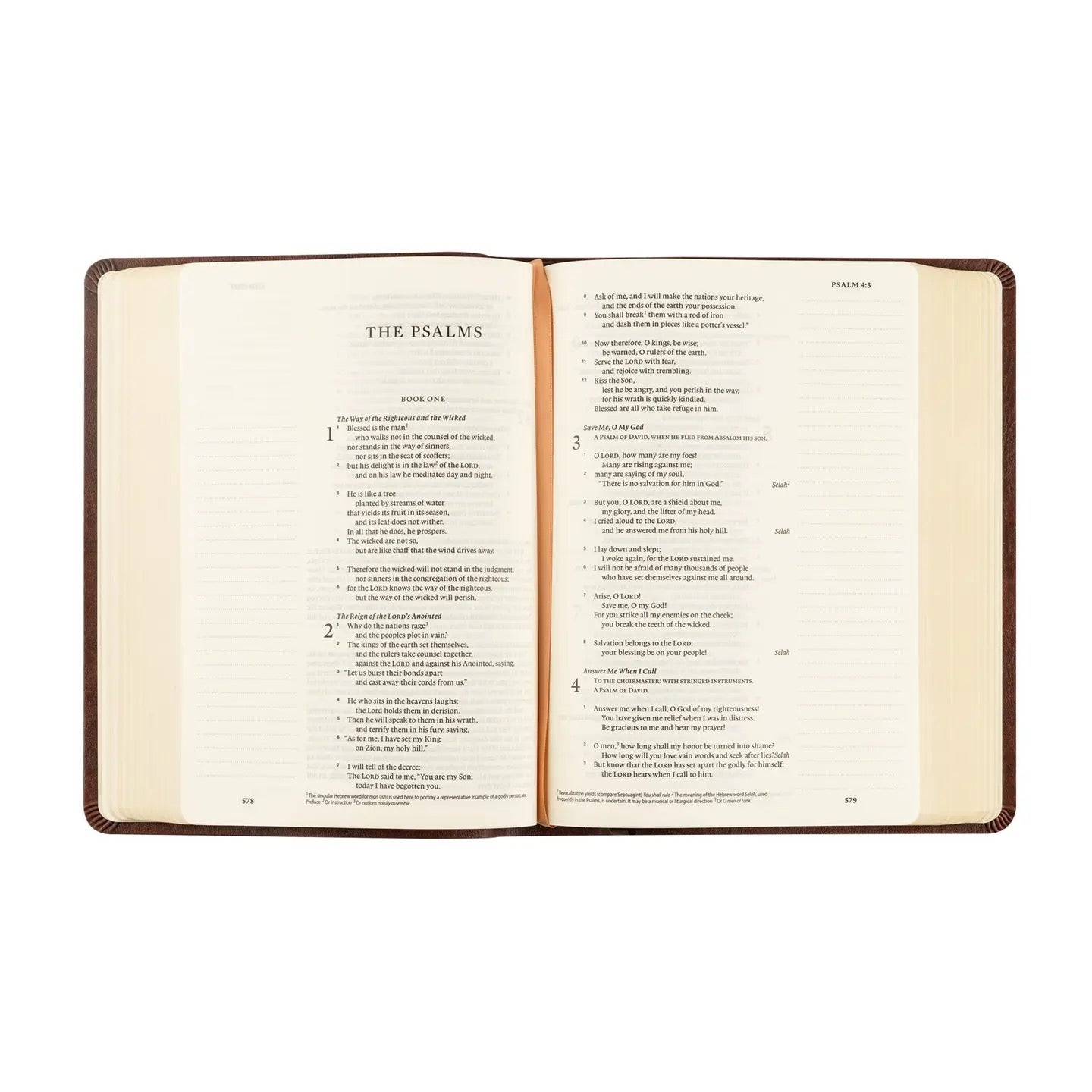 ESV Journaling BIble - Palma