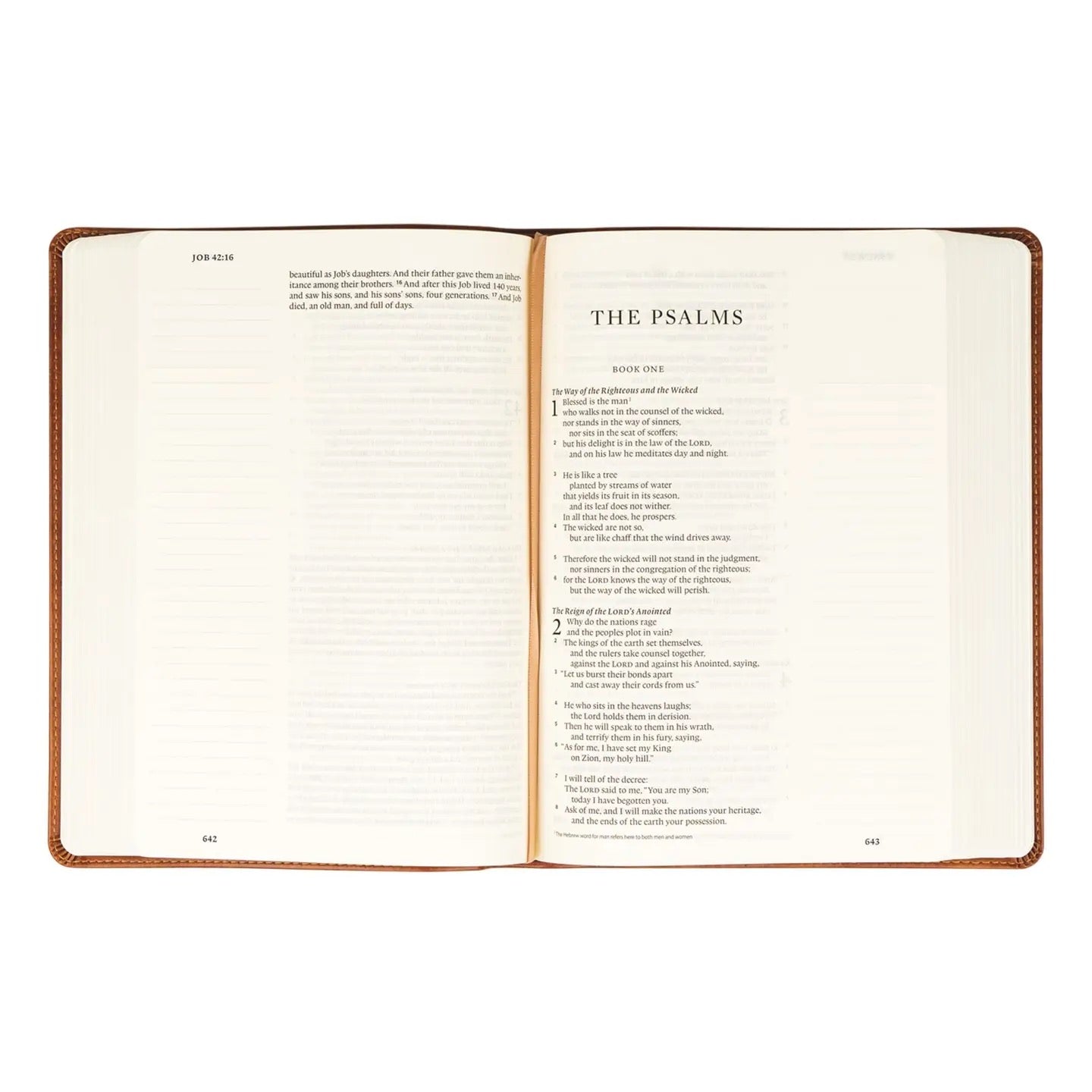 ESV Large Print Journaling Bible: Sierra Theme