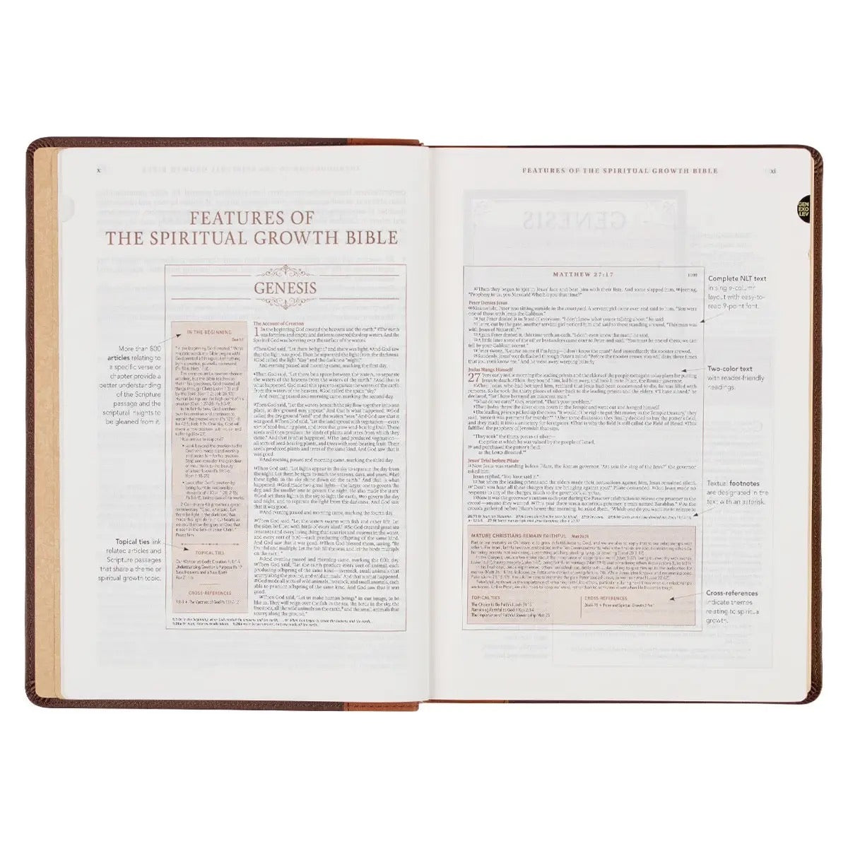 NLT The Spiritual Growth Bible - Brown