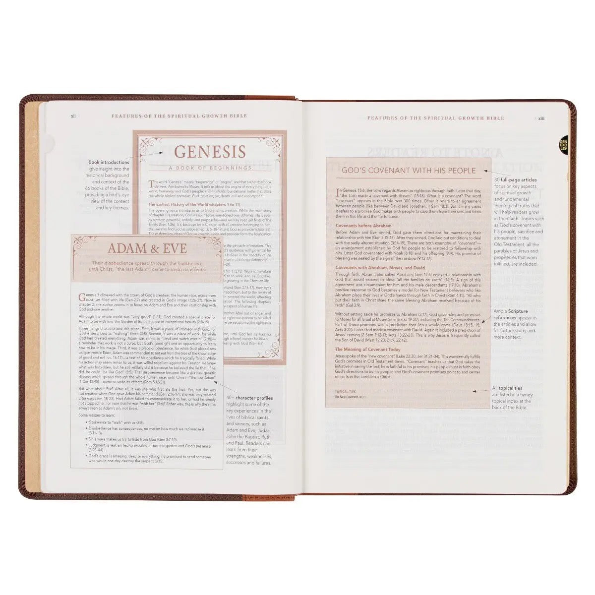 NLT The Spiritual Growth Bible - Brown