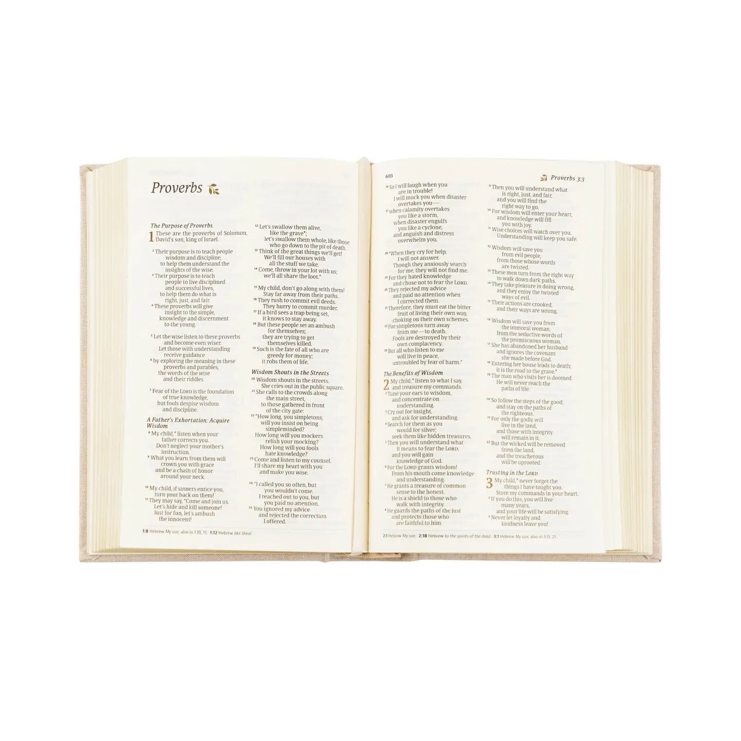 NLT Compact Bible: Casablanca