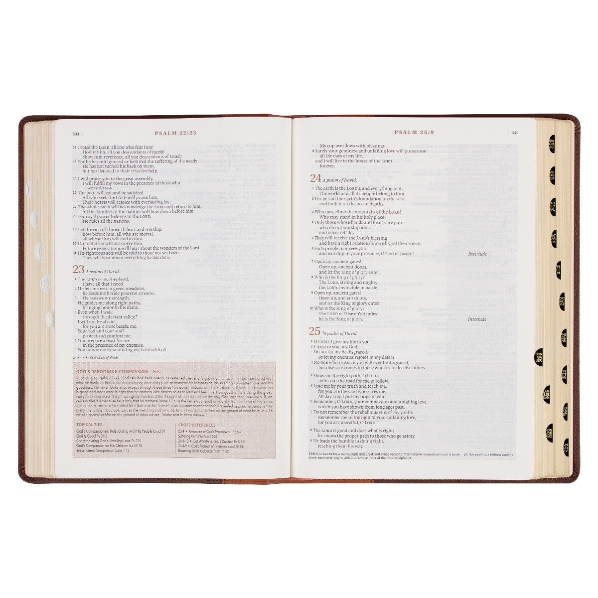 NLT The Spiritual Growth Bible - Brown