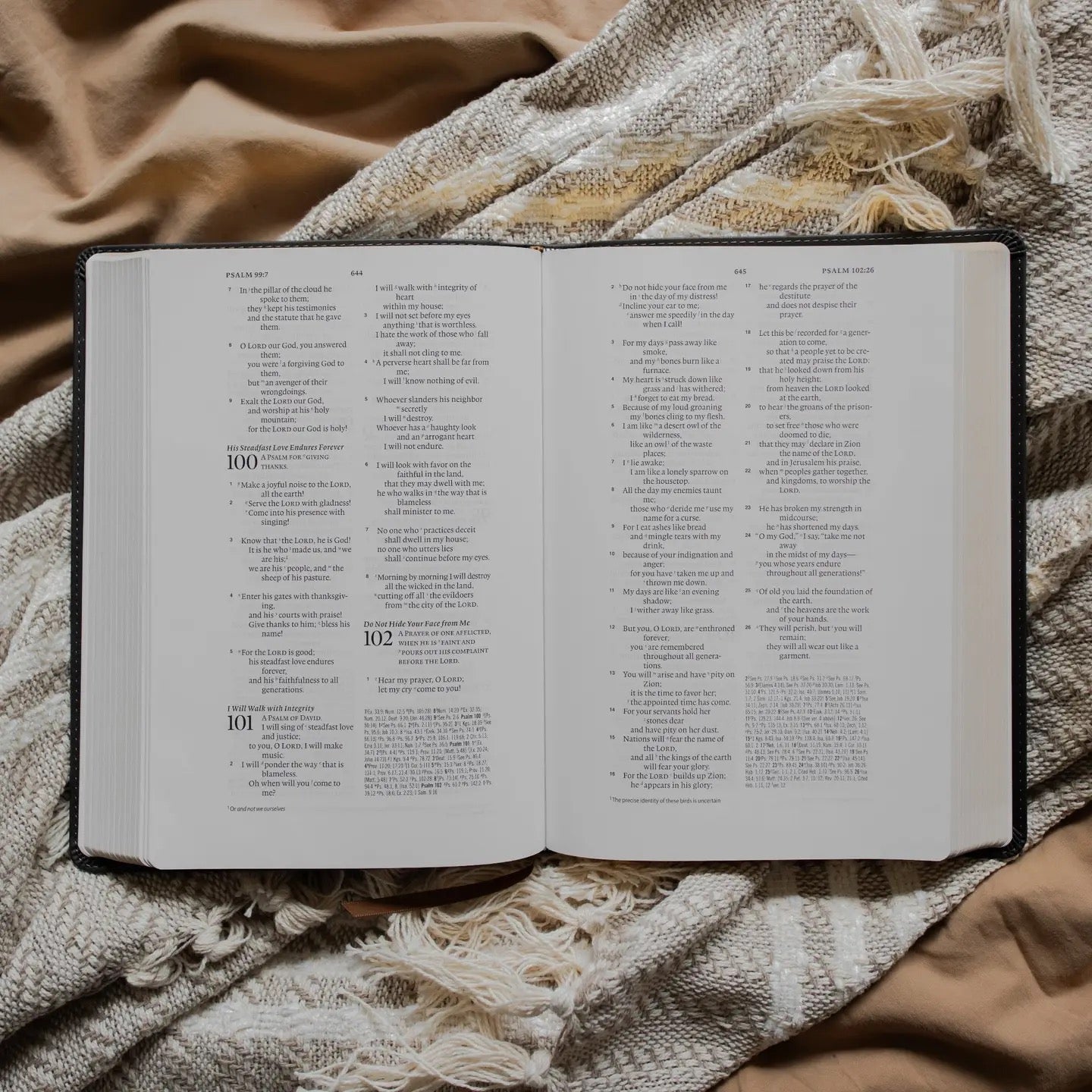 ESV Wide Margin Reference Bible - Morning Glory