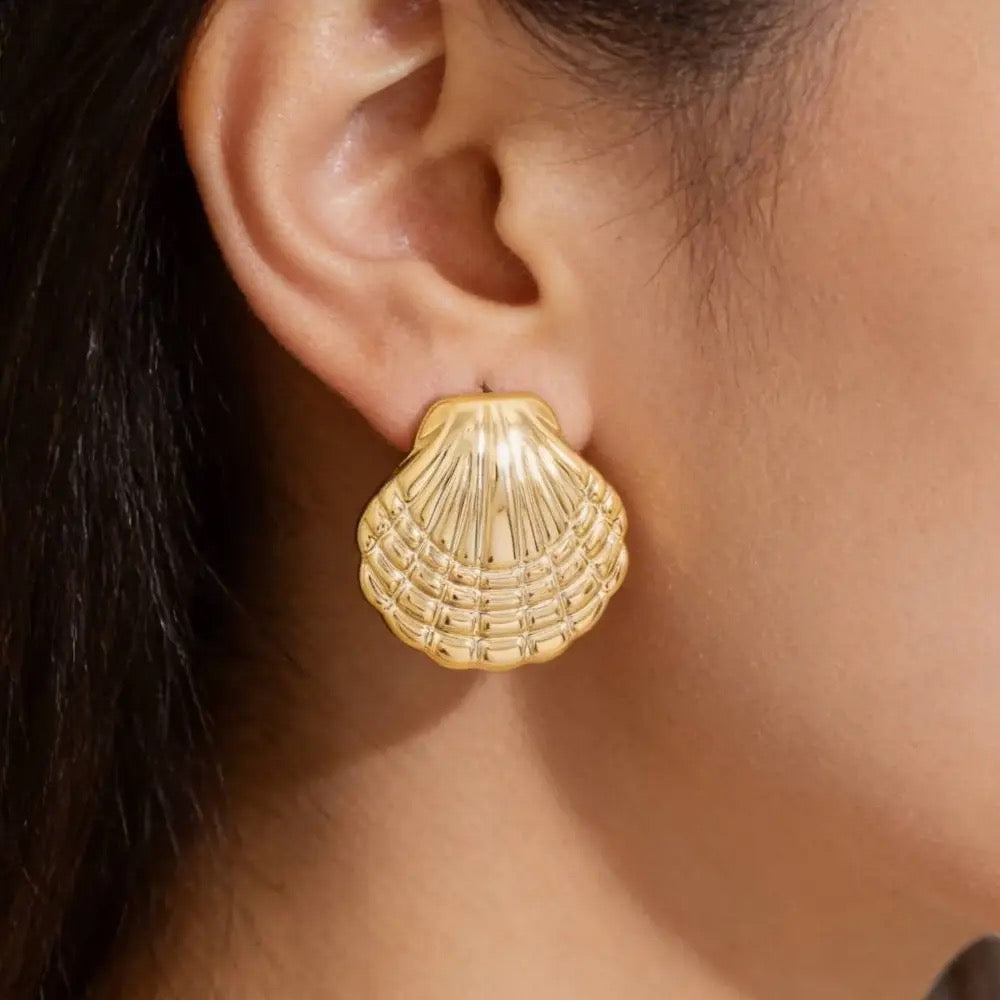 Gold Seashell Stud Earrings