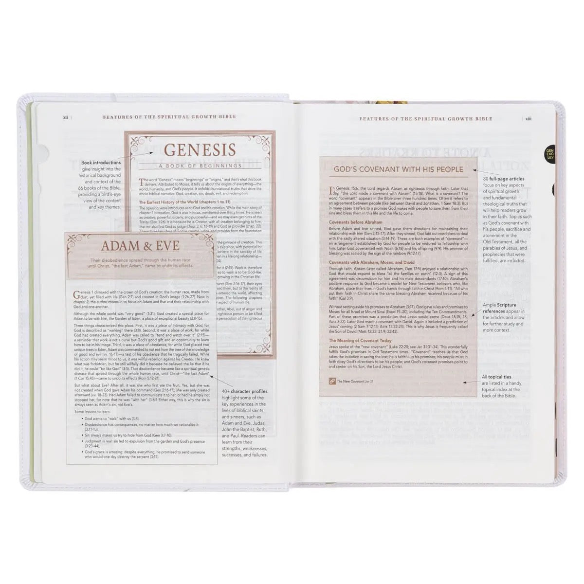 NLT The Spiritual Growth Bible - Cream Floral