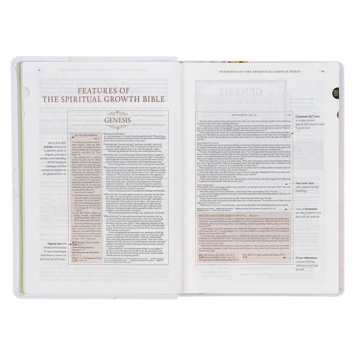 NLT The Spiritual Growth Bible - Cream Floral