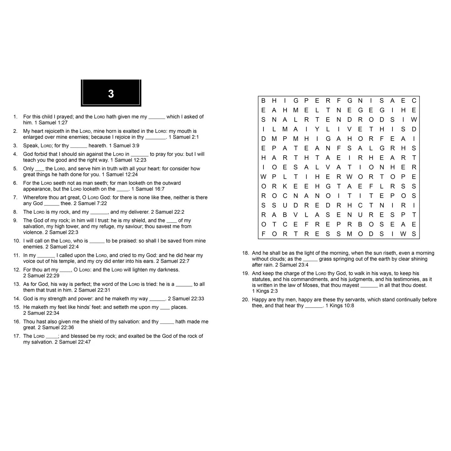 Bible Memory Verse Challenge Word Search - Large Print