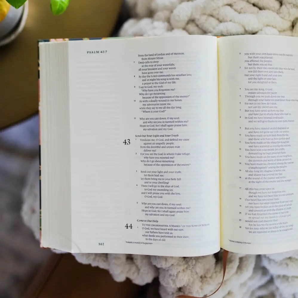 ESV Stained Glass Journaling Bible