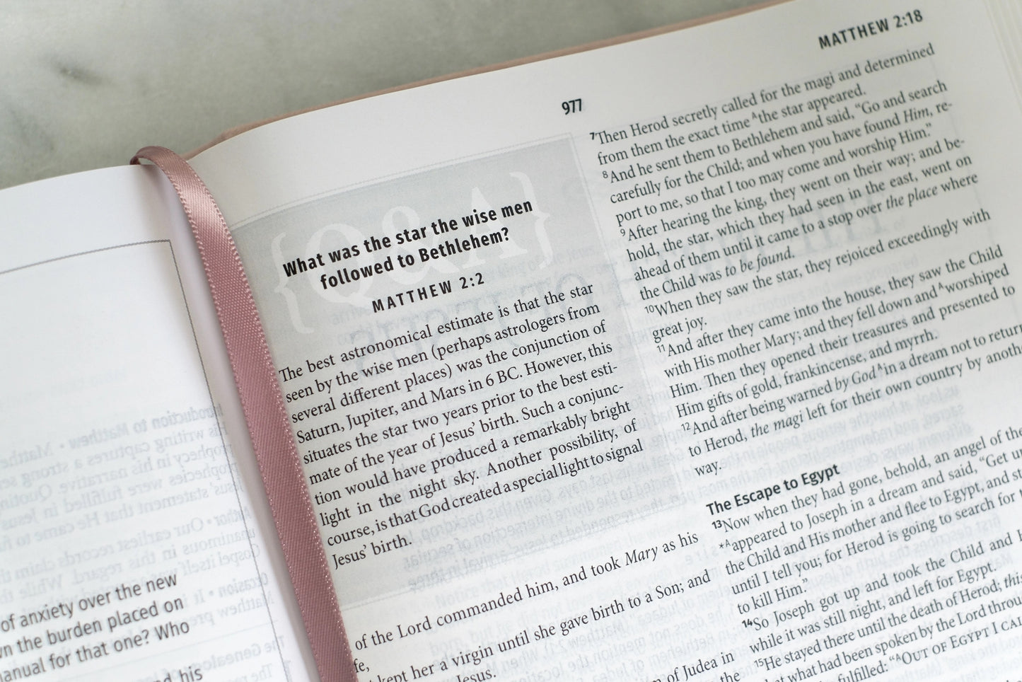 NASB Light for Life Study Bible - Bouquet Blush
