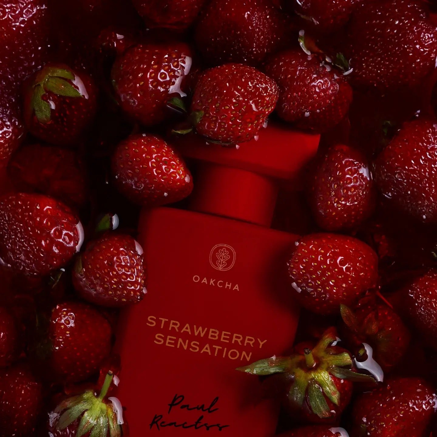 Oakcha Strawberry Sensation