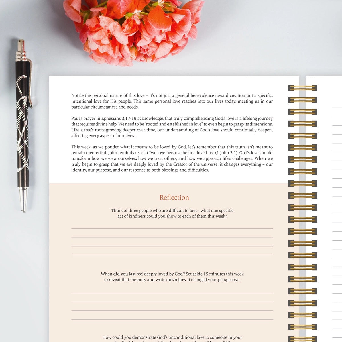 The Bible In A Year: A 52 Week Study