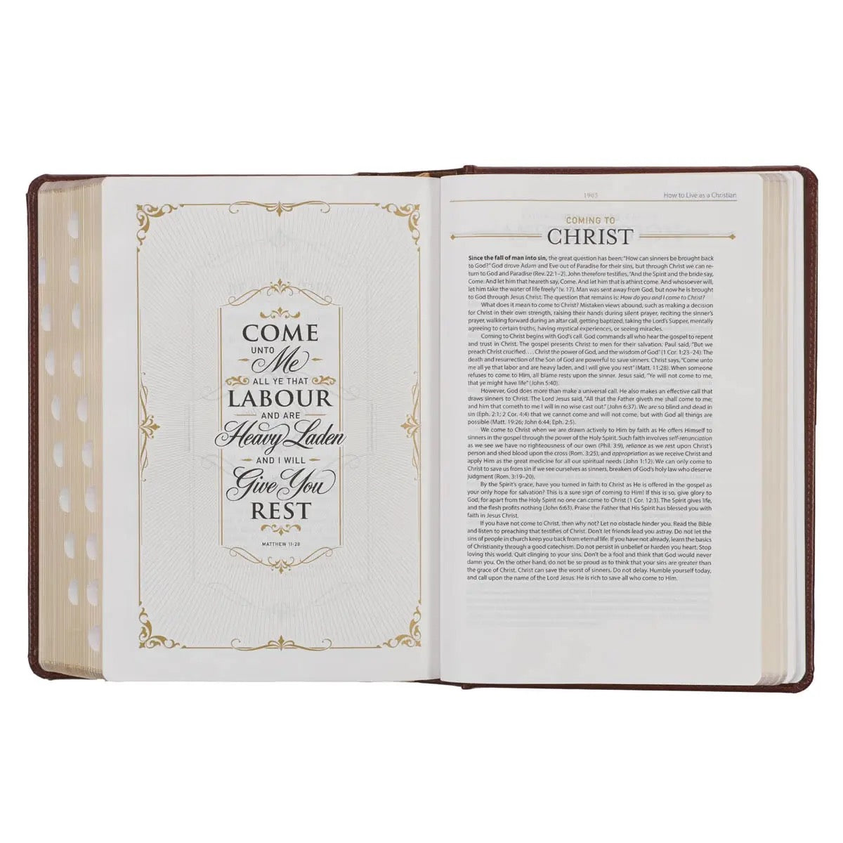 KJV Study Bible Faux Leather - Toffee/Burgendy