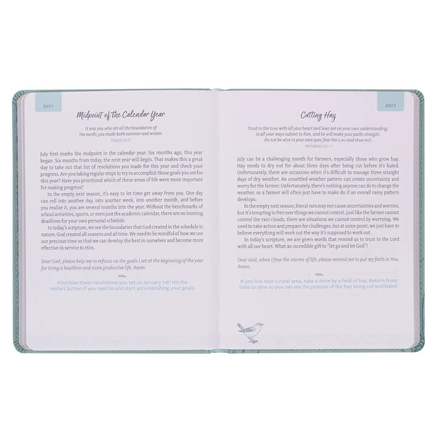 Daily Hope for the Empty Nest Devotional