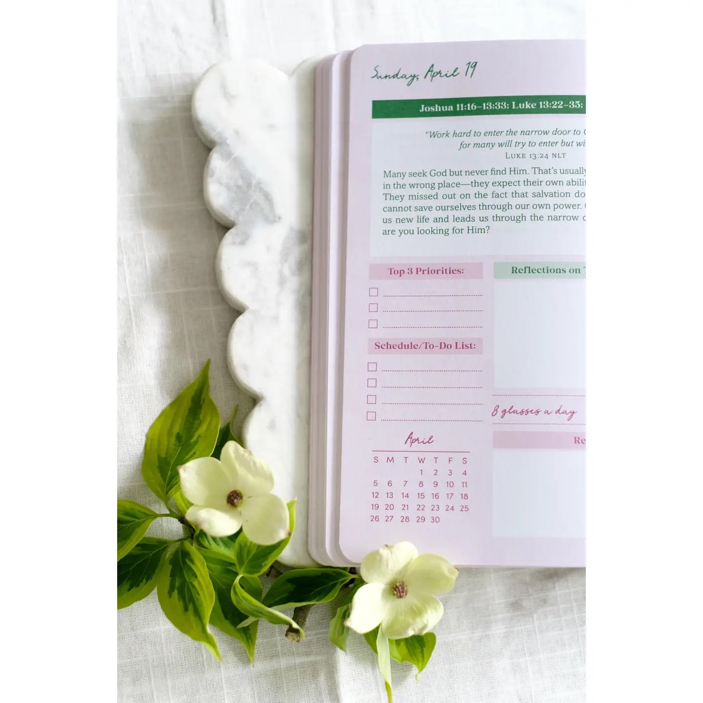 2026 Read Through the Bible in a Year Planner