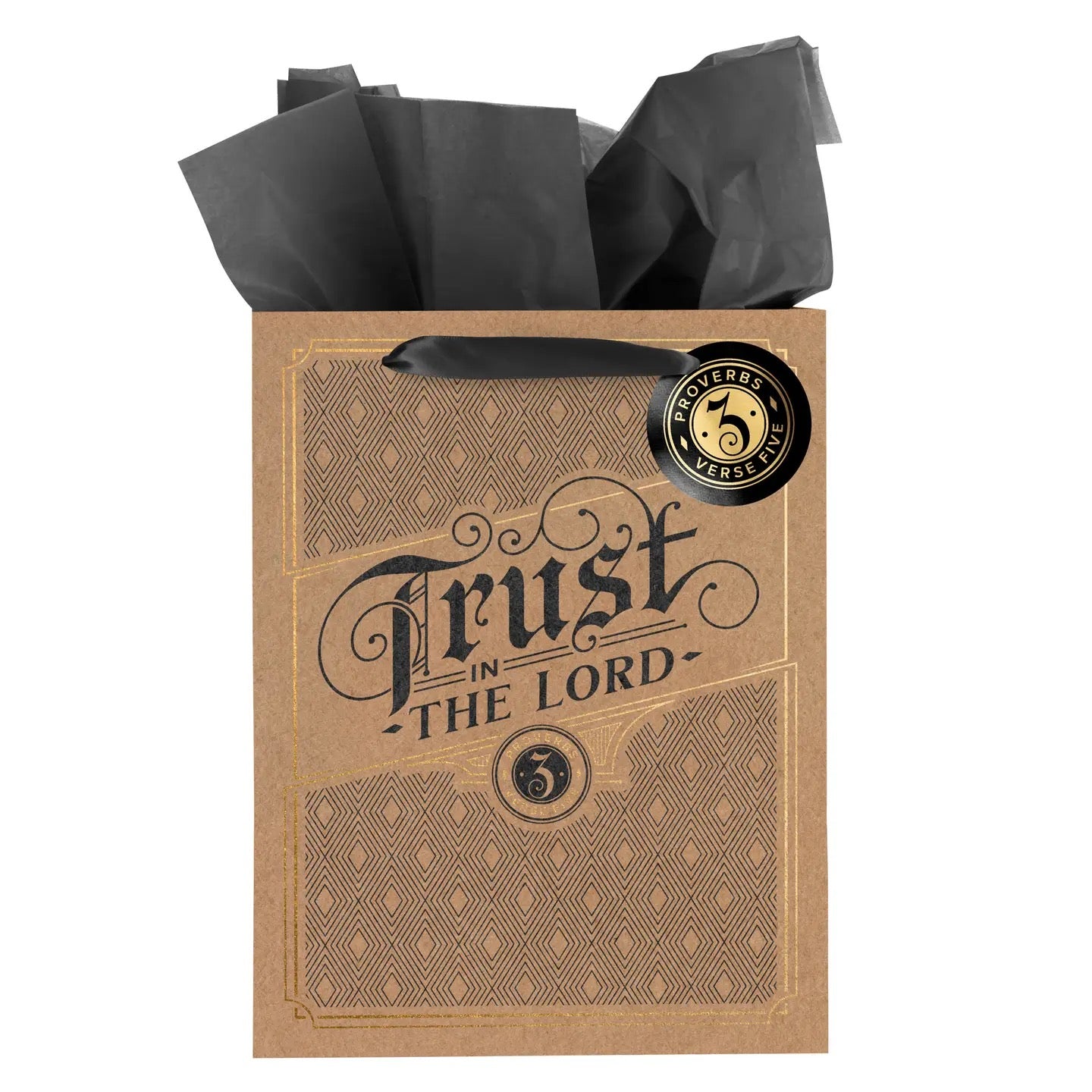 Large Gift Bag w/Tissue Paper