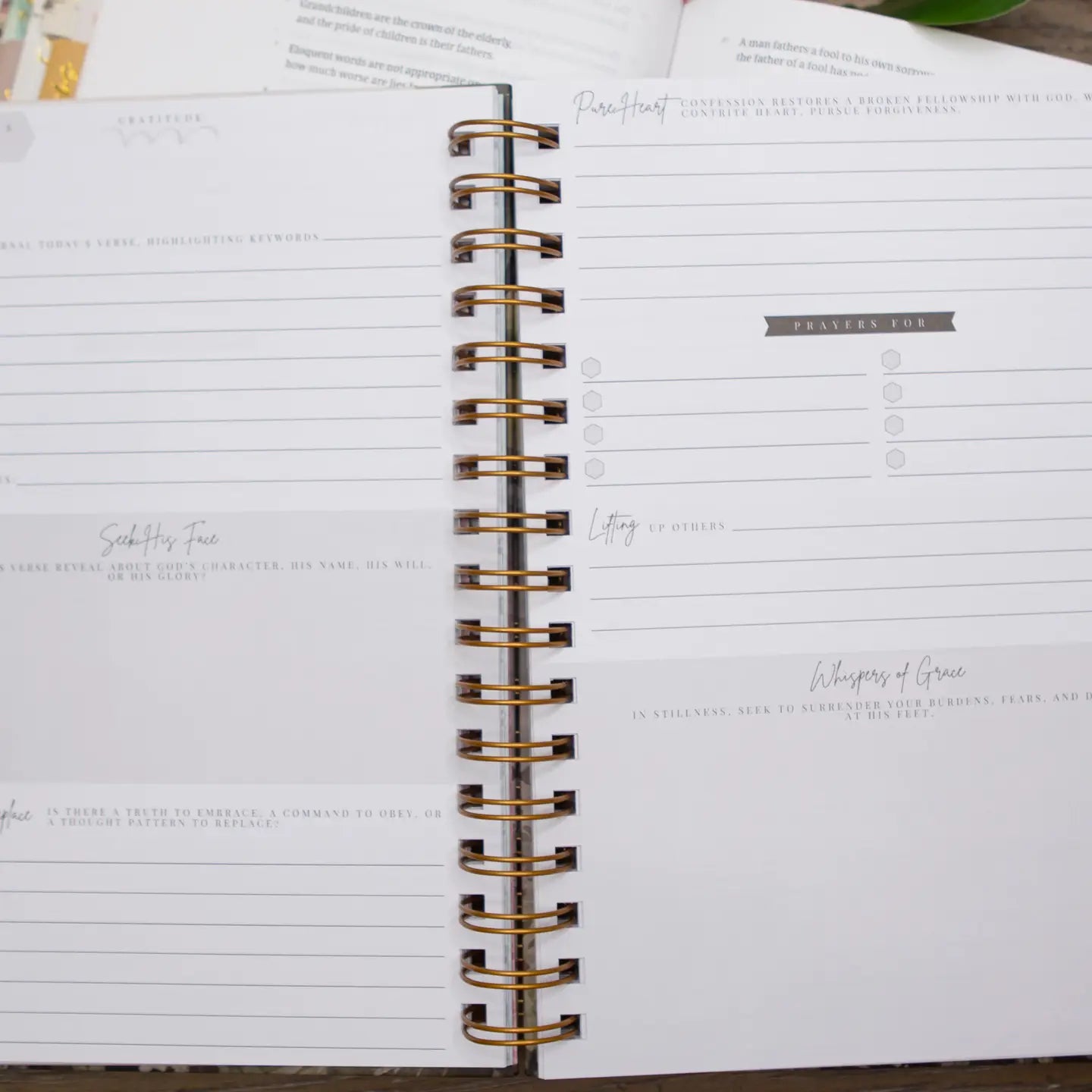 New Mercies Prayer Journal