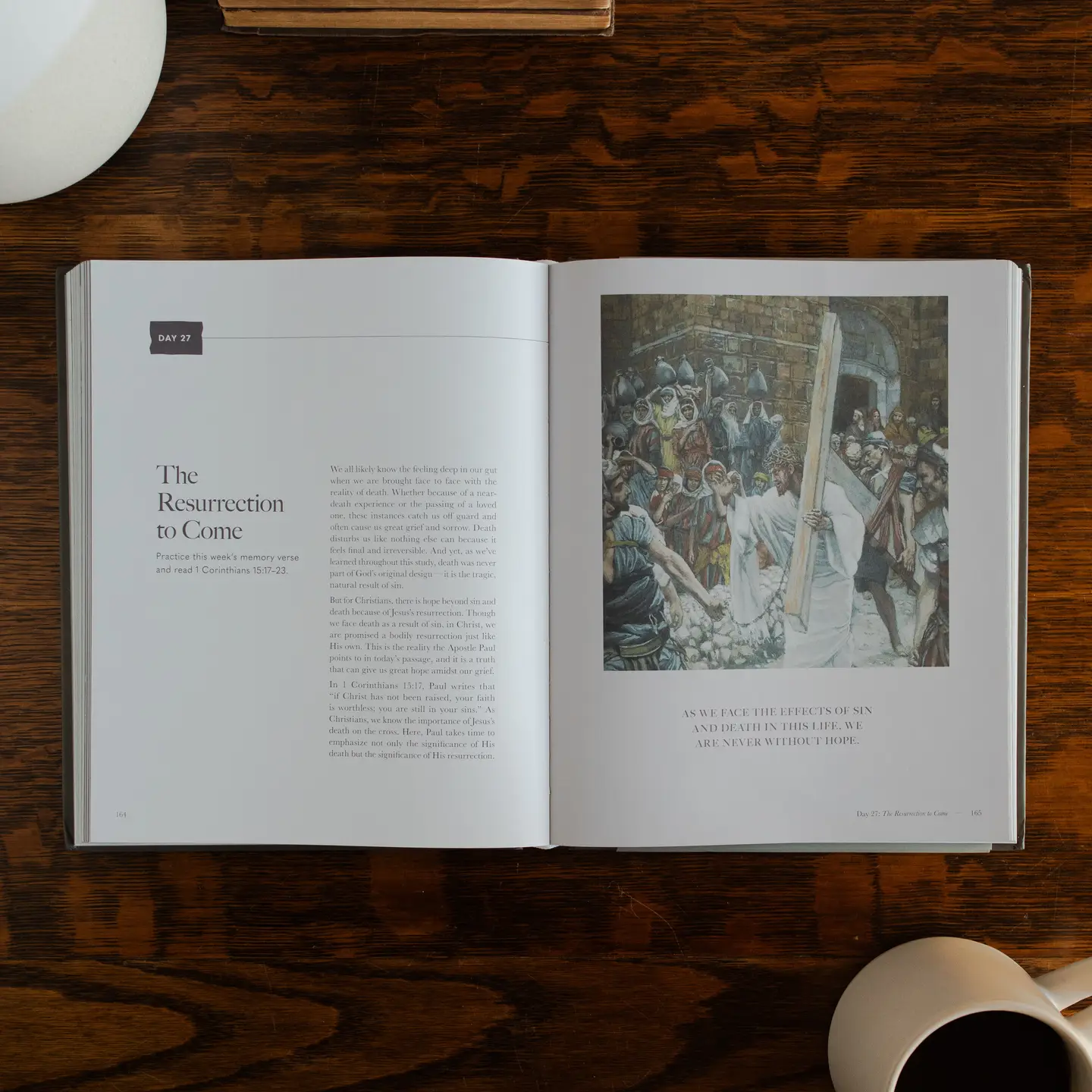 Clinging To the Cross | Hardcover Lent Bible Study