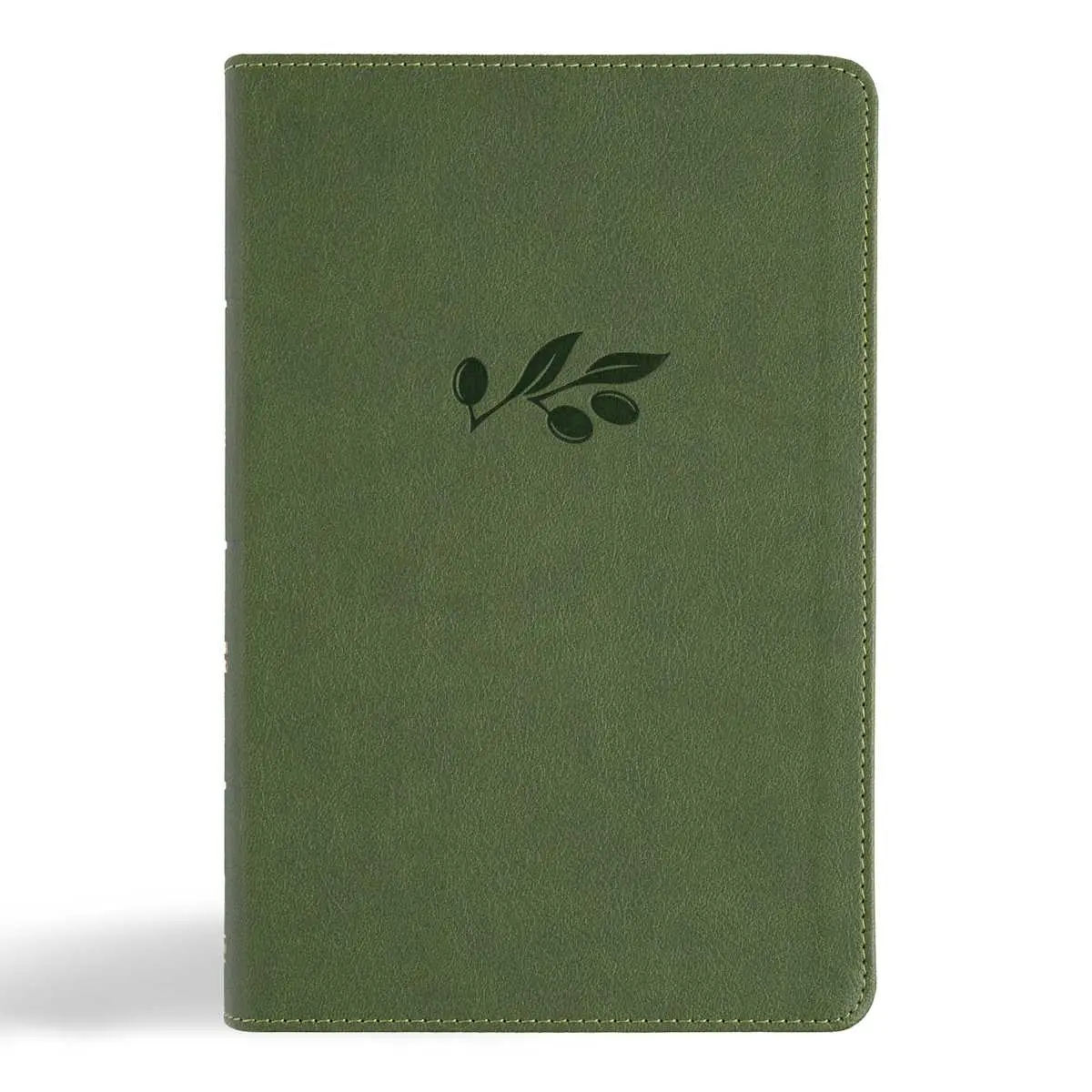 CSB Large Print Personal Size Digital Study Bible