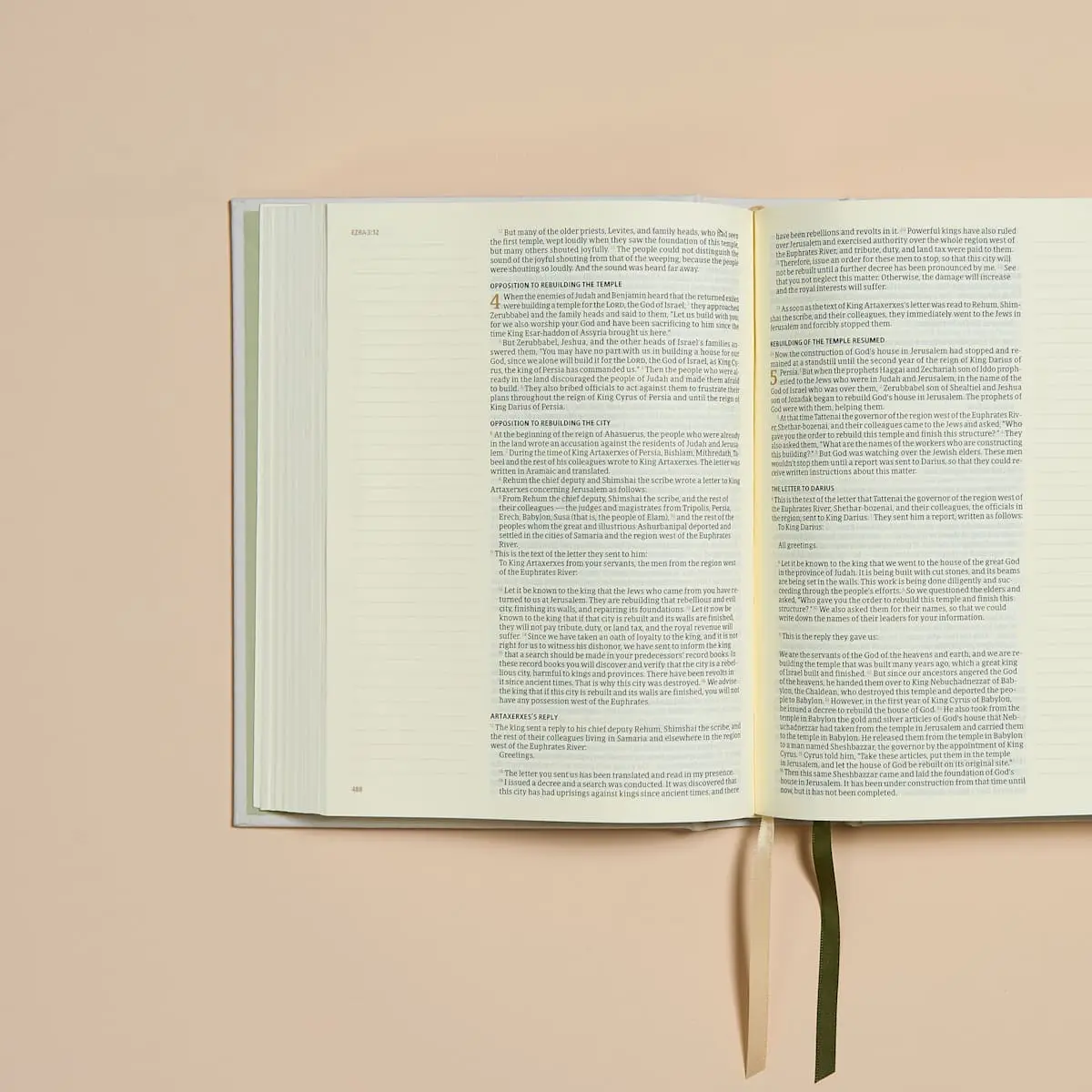 CSB Hosanna Revival Notetaking Bible- Lemons