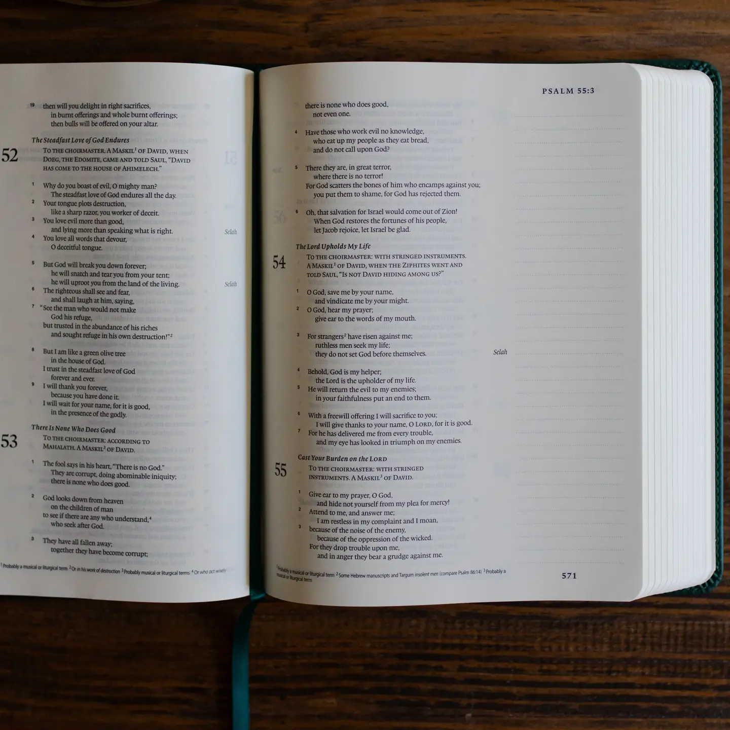 Wild Rose | Esv Single Column Journaling Bible