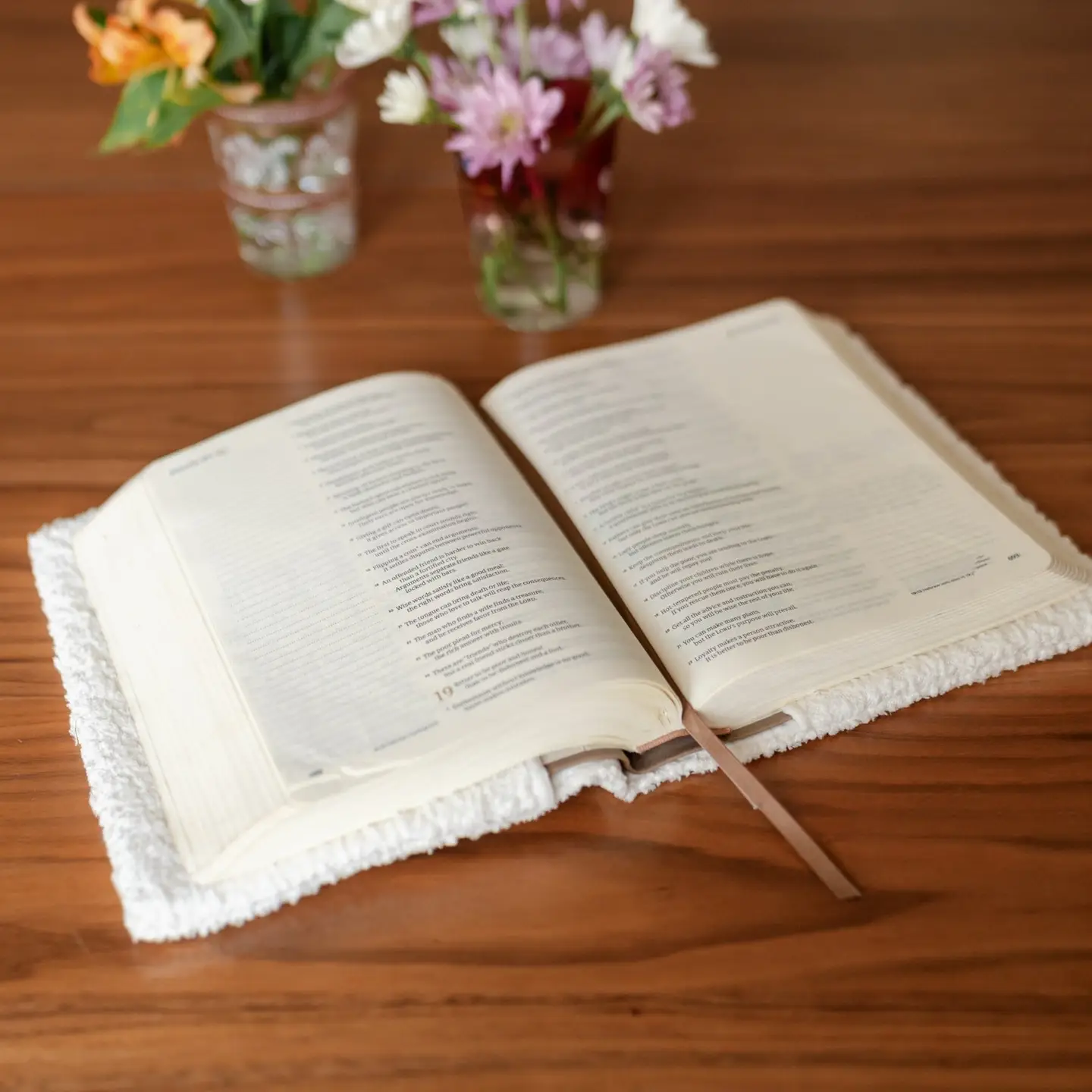 White Holy Bible Cover